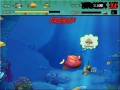 Fishing Frenzy mobile app for free download