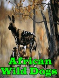 AfricanWildDogs mobile app for free download