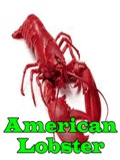 AmericanLobster mobile app for free download