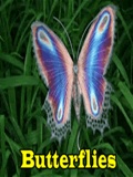 Butterflies mobile app for free download
