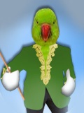 Talking Parrot Sir mobile app for free download