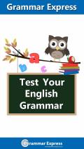 Test Your English Grammar Lite mobile app for free download