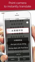 Written Chinese Dictionary mobile app for free download