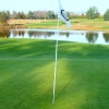 Fling it Golf mobile app for free download