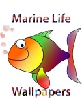 Aquatic Life Wallpapers 240x320TouchPhone mobile app for free download