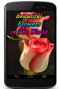 Beautiful Flowers in The World mobile app for free download