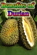 Benefits of Durian mobile app for free download