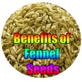 Benefits of Fennel Seeds mobile app for free download