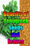 Benefits of Fenugreek Seeds and Leaves mobile app for free download