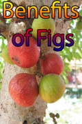 Benefits of Figs mobile app for free download