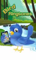 Bird Ringtones mobile app for free download