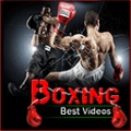 Boxing Best Videos mobile app for free download
