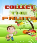 Collect The Fruits (176x208) mobile app for free download