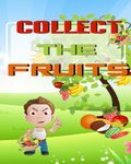 Collect The Fruits (176x220) mobile app for free download