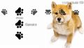 Cute Dog mobile app for free download