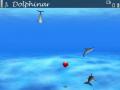 Dolphin screen saver mobile app for free download
