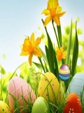 Easter SMS 240X320 mobile app for free download