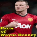 Facts of Wayne Rooney mobile app for free download