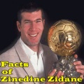 Facts of Zinedine Zidane mobile app for free download