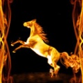 Fire Horse Live Wallpaper mobile app for free download