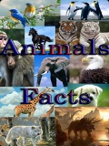 Funny Animal Facts   320x240 mobile app for free download