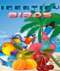 Identify Birds (176x208) mobile app for free download