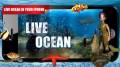 Live Ocean mobile app for free download