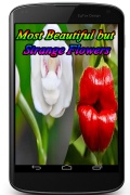 Most Beautiful but Strange Flowers mobile app for free download