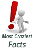 Most Craziest Facts mobile app for free download