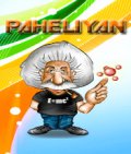 Paheliyan (176x208) mobile app for free download