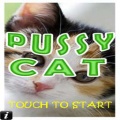 Pussy Cat mobile app for free download