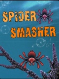 SPIDER SMASHER mobile app for free download