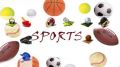 Sports Theme mobile app for free download