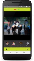Wang Cats   Wangcat 2016 mobile app for free download
