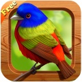free bird songs mobile app for free download