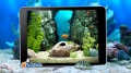 iQuarium   virtual fish mobile app for free download