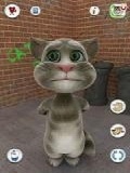 talking Tom Cats Free mobile app for free download