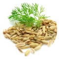 Benefits of Dill Seeds mobile app for free download