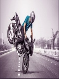 BikeStunts 240X320 mobile app for free download