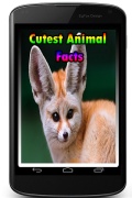 Cutest Animal Facts mobile app for free download