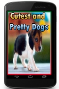 CutestandPrettyDogs mobile app for free download