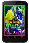 TopFishesofIndia mobile app for free download