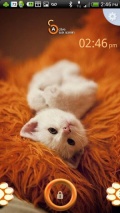 Active   Cute Cat Theme mobile app for free download