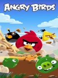 Angry Bird 2013 mobile app for free download
