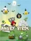 Angry Birds Winter Edition.jar mobile app for free download
