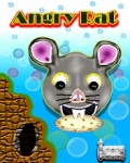 Angry Rat mobile app for free download