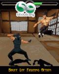 BRUCE LEE: IRON FIRST 3D mobile app for free download
