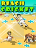 Beach Cricket mobile app for free download