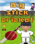 BigStickCricket_N_OVI mobile app for free download