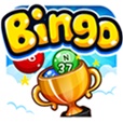 Bingo Tournaments mobile app for free download